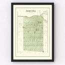 Vintage Map of Bishop Hill, Illinois 1893