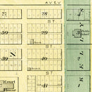 Vintage Map of Tuscola, Illinois 1893