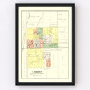 Vintage Map of Camargo, Illinois 1893