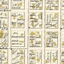 Vintage Map of Lapeer, Michigan 1893