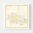 Vintage Map of Perry, Illinois 1895