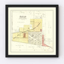 Vintage Map of Baylis, Illinois 1895