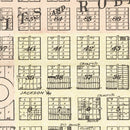 Vintage Map of Washtenaw County, Michigan 1895