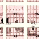 Vintage Map of Bronaugh, Missouri 1903