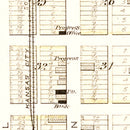 Vintage Map of Richards, Missouri 1903