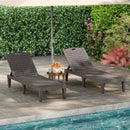 Outdoor PP Chaise Lounge Chairs Set of 2 with 4-Position Adjustable Backrests by LJGDeals