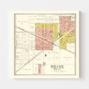 Vintage Map of Waushara County, Wisconsin 1906