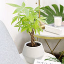 6 inch White Glazed Geometric Striped Ceramic Planter