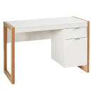 Modern Computer Desk by LJGDeals