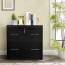 2-Drawer File Cabinet with Lock Hinging Bar Letter and Legal Size by LJGDeals