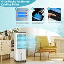 4-in-1 Air Cooler - 12L Tank & 4 Ice Packs by LJGDeals
