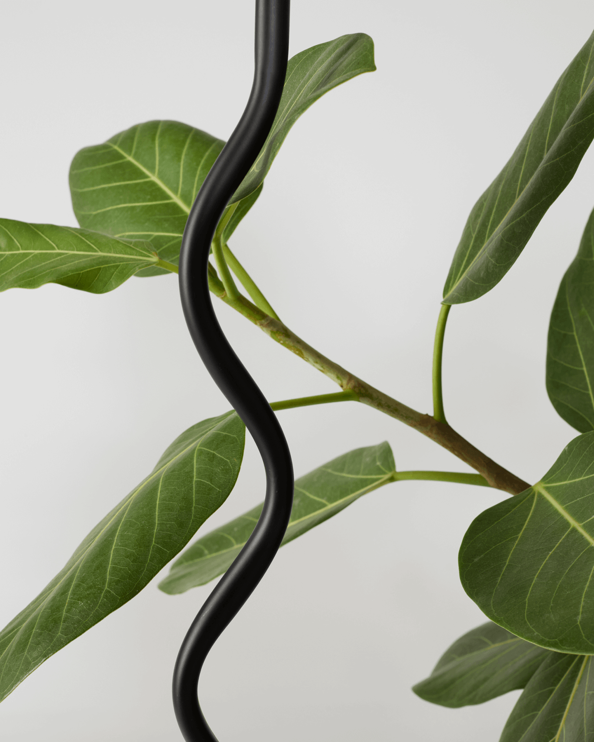 Squiggle Floor Lamp, photo 9 of 9