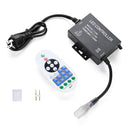 Yescom 110V LED Controller & RF Remote for Neon Rope Light 2700K