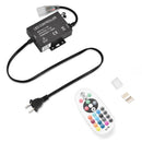 Yescom 110V LED Controller & RF Remote for Neon Rope Light RGBW