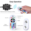Yescom 110V LED Controller & RF Remote for Neon Rope Light RGBW