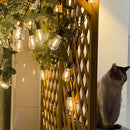 Yescom 110V Commercial String Lights 100-Bulbs 200ft - (4x)50ft