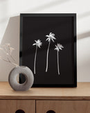 Palm trees