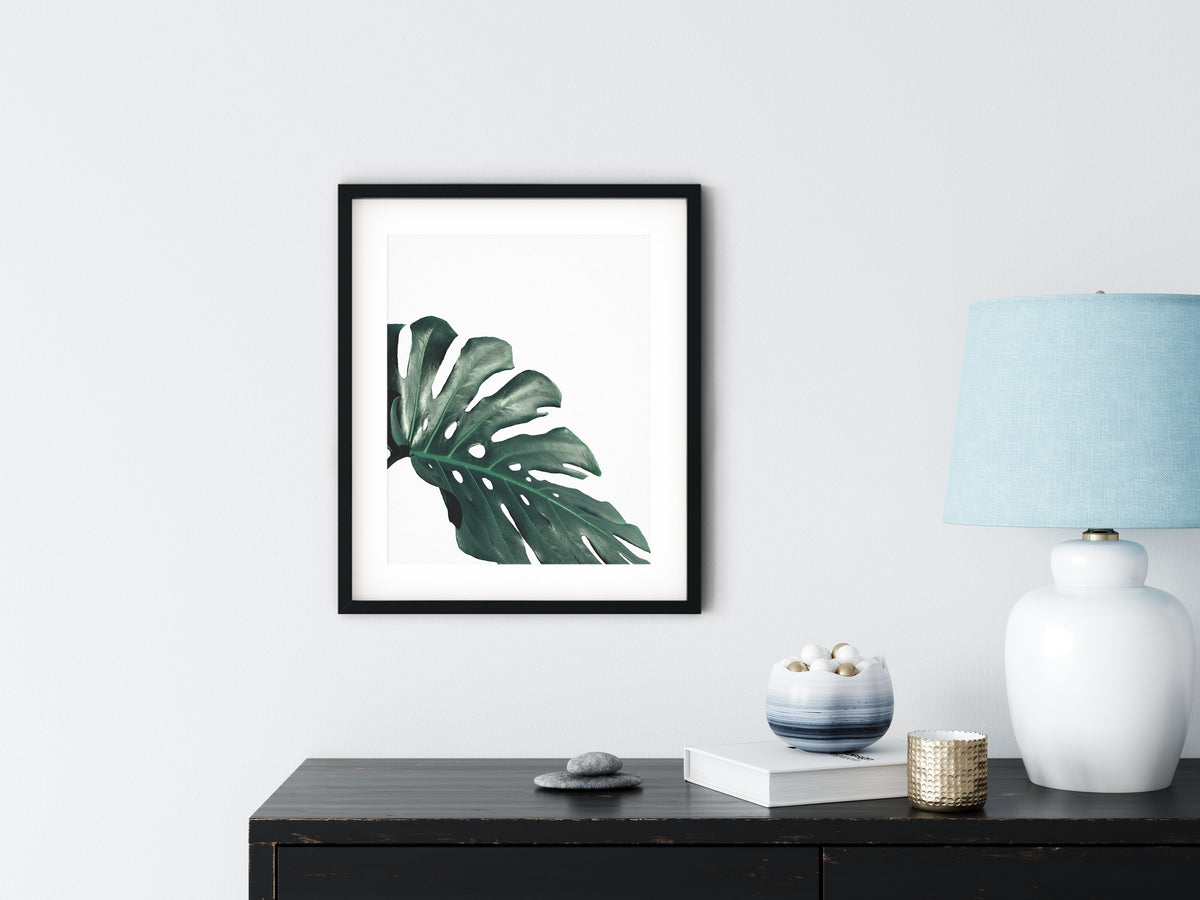 Tropical botanical, photo 4 of 5