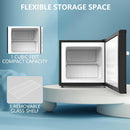 1.2 Cu.Ft Compact Mini Freezer