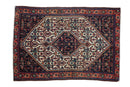 2x3 Vintage Senneh Rug Mat
