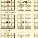 Vintage Map of Riley, Kansas 1909
