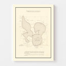 Vintage Lake Washington, MN Map 1921