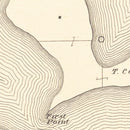 Vintage Lake Washington, MN Map 1921