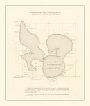 Vintage Lake Washington, MN Map 1921