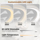 19 Inch Ceiling Fan Low Profile Flush Mount Fan with 3000-6500K Dimmable LED-White by LJGDeals