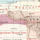 Vintage Climate Map of the World 1874
