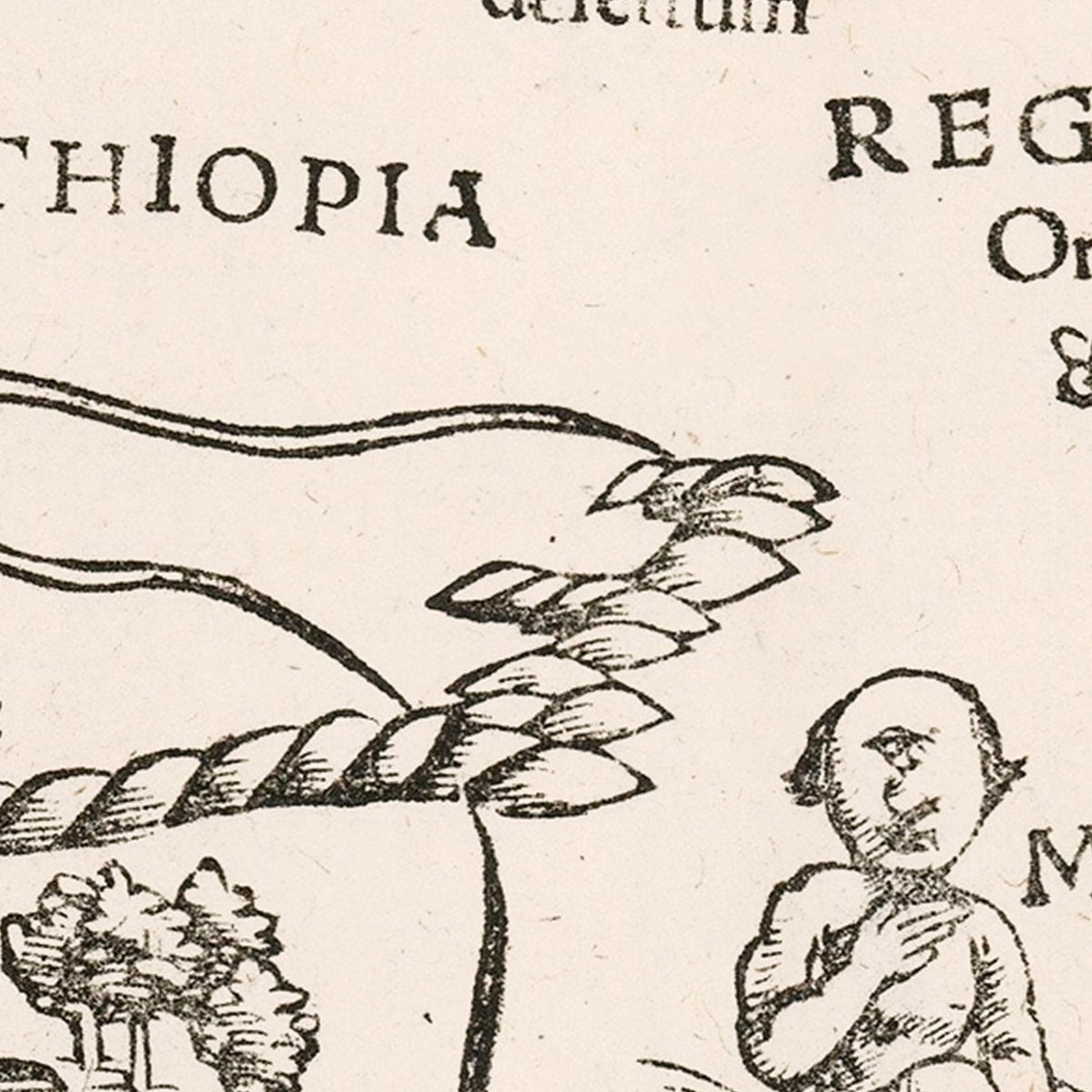 Vintage Africa Map 1574, photo 2 of 5