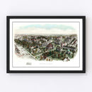 Vintage Princeton University Map 19006