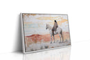 Desert Watcher on White Horse