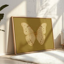 Golden Ivory Butterfly Study