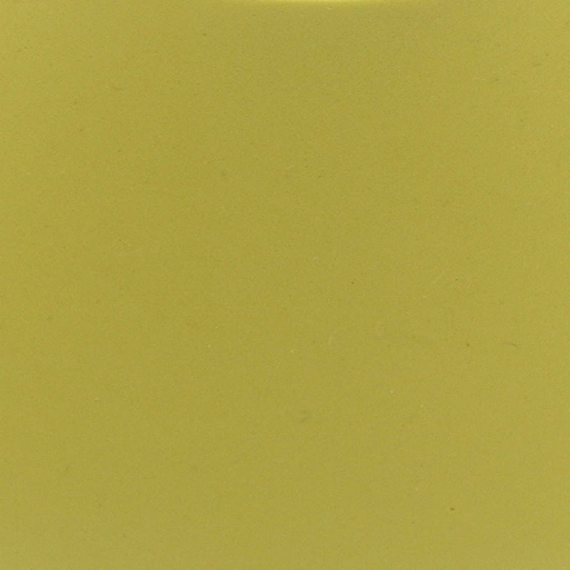 Foam Sun Visor