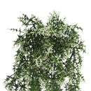 Star Jasmine Vine Artificial Hanging Plant 7.8×30in – NFPA701 Fire Rated – UV Resistant