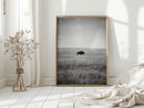 Solitary Grace