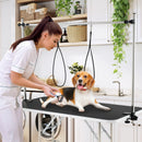 Foldable Dog Grooming Table with Height Adjustable Arms-Black by LJGDeals