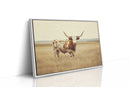 Prairie King: Longhorn on the Plains