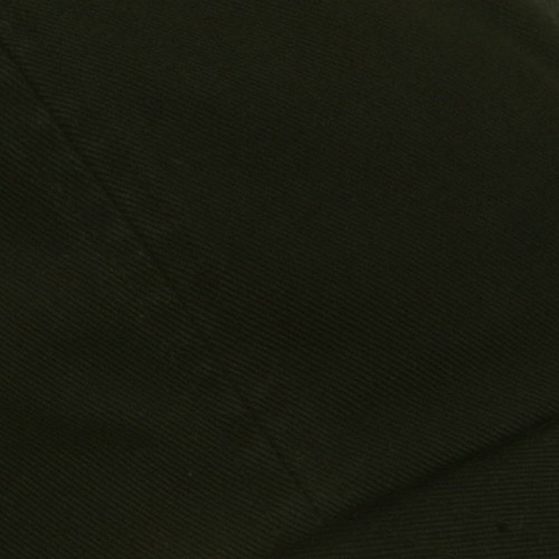 Low Profile Pet Spun Washed Cap