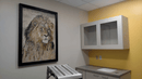 Regal Lion: Mosaic Wall Art Masterpiece