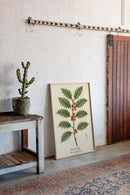 The Holly Botanical Art Print