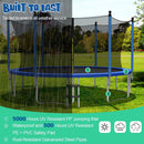 Outdoor Recreational Trampoline with Ladder and Enclosure Net by LJGDeals