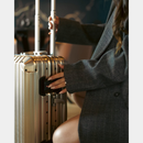 TREVA Aluminum Suitcase Champagne