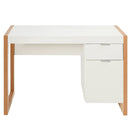 Modern Computer Desk by LJGDeals