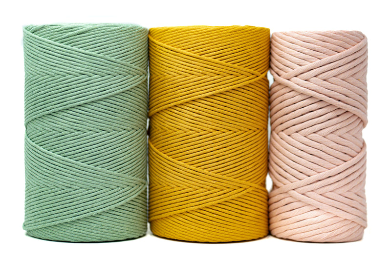CELEBRATION BUNDLES - CACTUS, SUN & PALE PINK