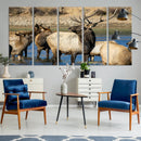 Wild Elk Wall Art Canvas Print – Framed Neutral Wildlife