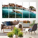 Sea Turtle Wall Art Canvas Print – Framed Ocean Life