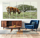Texas Longhorn Wall Art Canvas Print – Rustic Western Ranch by MyGreatCanvas | Canvas Wall Art Prints | Photo Prints & Wall Decor