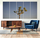 Joshua Tree Wall Art Canvas Print – Framed Southwestern